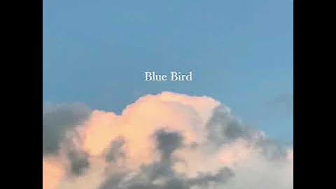 Blue Bird - Christy Chan (original song)
