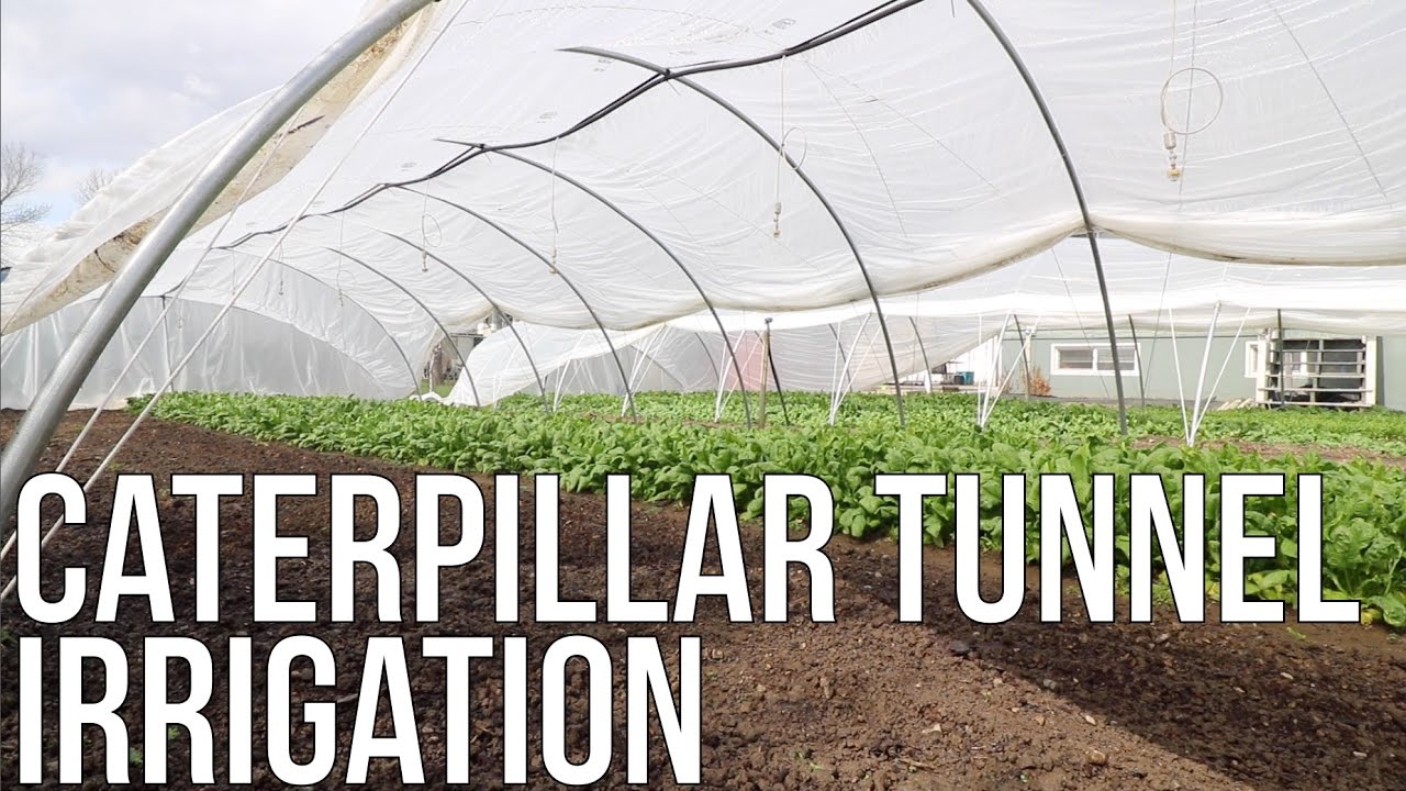 CATERPILLAR TUNNEL IRRIGATION YouTube