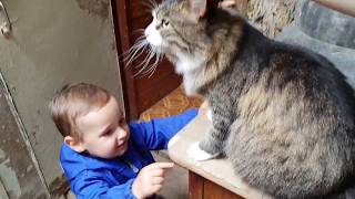 Испытание кота Мурлока новым стрессфактором Испытание кота Мурлока новым стрессфактором