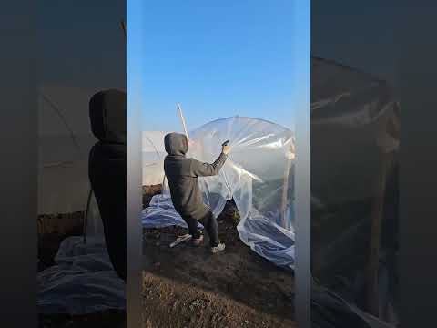 Накрываем плёнкой настоящий