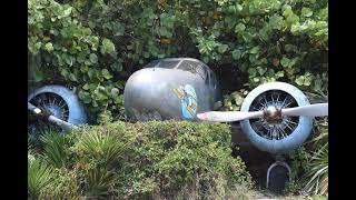 The Explorer Katherine Rundell Chapter 1 2