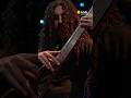 Stygian Bough performs "King Of The Wood" & more Live on KEXP