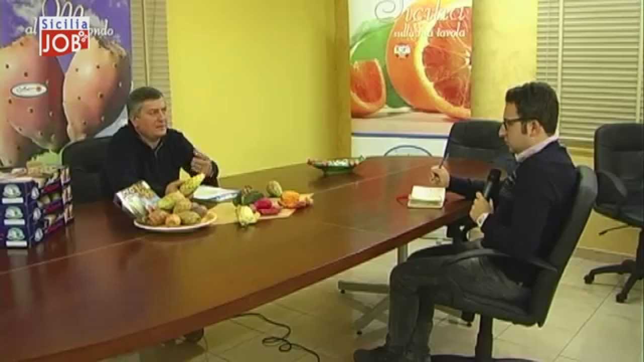 SiciliaJob: Dolcezza senza spine - Il Fico d'india .