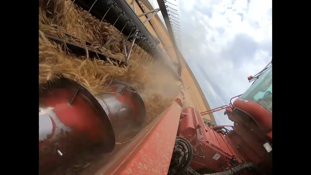 Harvest Montage Pt. 1 YouTube