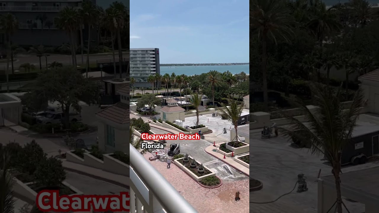 Жизнь и работа в Tampa Bay/ Florida. Переезд во Флориду. Первые месяцы работы в Тампа Бей.