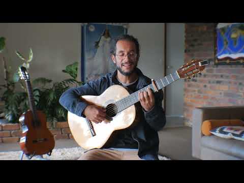 Arbolito divino -
