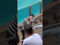 Cutest ever 😬 Tom mime Seaworld hilarious moments #seaworldmime #funny #tomthemime