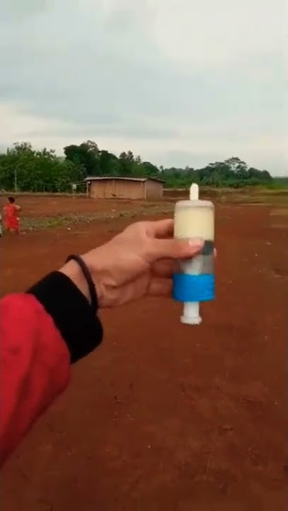 Entah jenis Nuri bayan apa ini ada yang tau??!  #shorts #nuribayan #burung