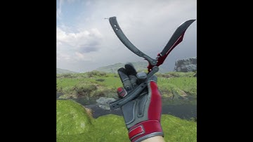 Glove and Knife Combo | CS2 (2025)