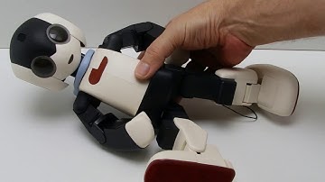 Official Build Your Own Robi Build Diary - Pack 18, Stage 70