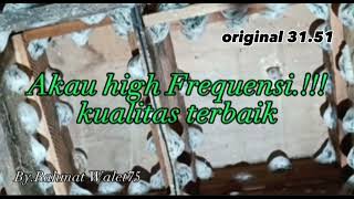 SP Akau high Frequensi kualitas terbaik..Terbaru