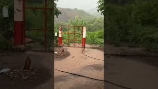 #llego la lluvia #rancho#ceiba mocha