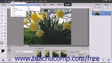 Photoshop Elements 15 Tutorial The Free Transform Command Adobe Training
