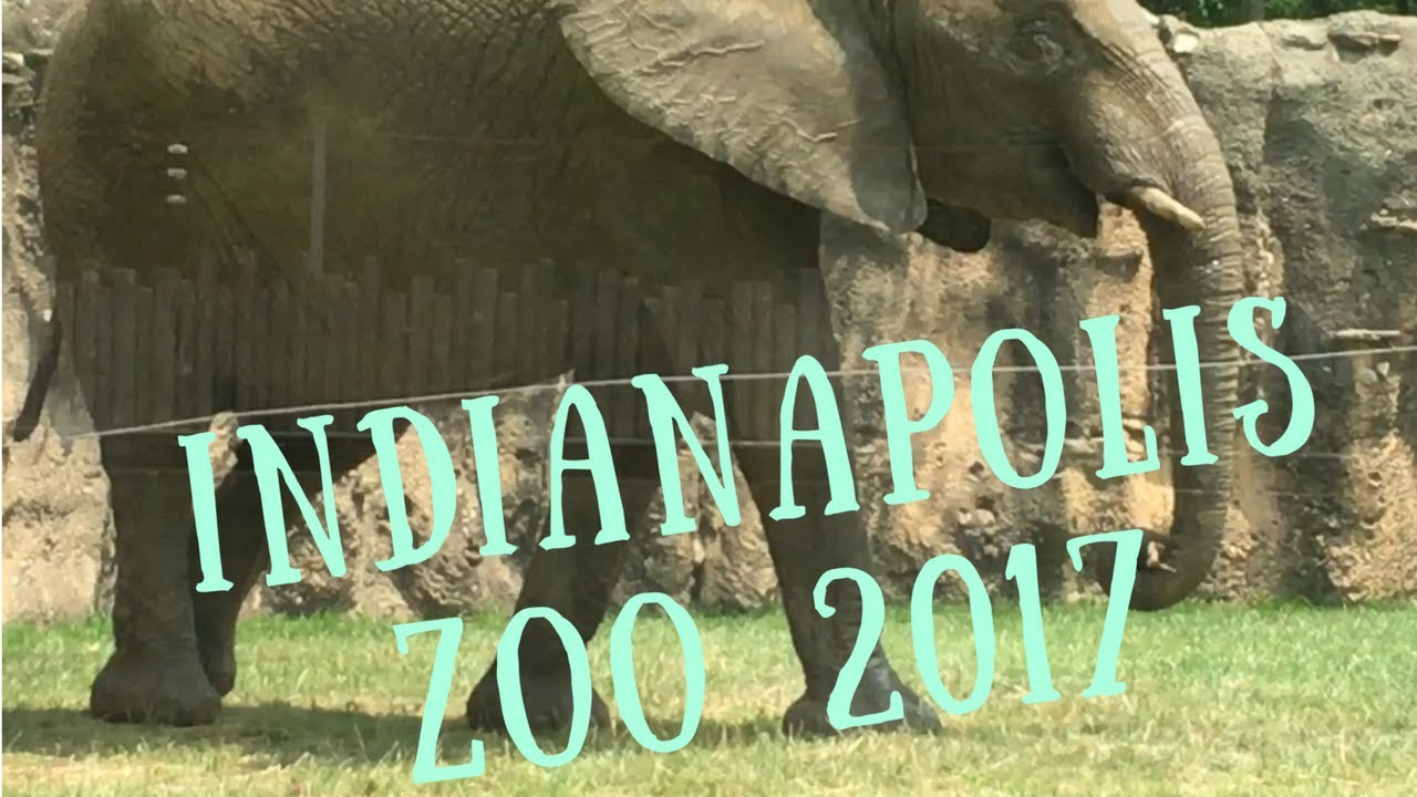 field trip indianapolis zoo