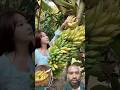 farming 🧺🧺 Banana #fruitcutting #farming #nature #fruit #ilovegadgets #shorts