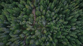 Transcendence // Capturing the Spirit of Mountain Biking Through Art in Northern British Columbia
The Art & Trails project brought together three artists and one author from communities across Northern British Columbia to capture the spirit of mountain bike trails and share the stories they hold. This is a story of how art and culture transcend the physical act of mountain biking to create a deeper connection to the land and its people.
Check out our feature on this project here: https://freehub.com/features/natural-dance
Ben Haggar is a freelance photographer, writer and filmmaker based in Squamish, British Columbia. He also works as a Polar Guide running logistics and executing trips in the Arctic and Antarctica. His goal as a photographer and general human being is to inspire people to push a little further, break out of their comfort zone, and discover new places and experiences at home or abroad while thinking of their environmental impact. Ben specializes in photographing the activities he is most passionate about: remote travel and expeditions, action sports, environmental conservation and the underwater world. His work has been displayed in galleries and film festivals in western Canada and the US, Singapore, London and the Smithsonian in Washington DC.
This film was released through Freehub channels as part of our Freehub Pipeline program, which aims to elevate and share amazing stories from athletes and creators. Have a project you think would be a good fit for Pipeline? Learn more here: https://freehub.com/pipeline
Subscribe to Freehub Magazine: http://bit.ly/FreehubMag
Follow Us!
YouTube: https://www.youtube.com/user/FreehubMagazine
Facebook: https://www.facebook.com/freehubmag/
Instagram: https://www.instagram.com/freehubmag
Twitter: https://twitter.com/freehubmag Transcendence // Capturing the Spirit of Mountain Biking Through Art in Northern British Columbia