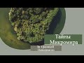 Тайны Микромира: За Границей Невидимого