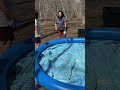 Llenando la alberca con agua del río. ¿Cuánto tiempo tardará en llenarse? Primera parte.