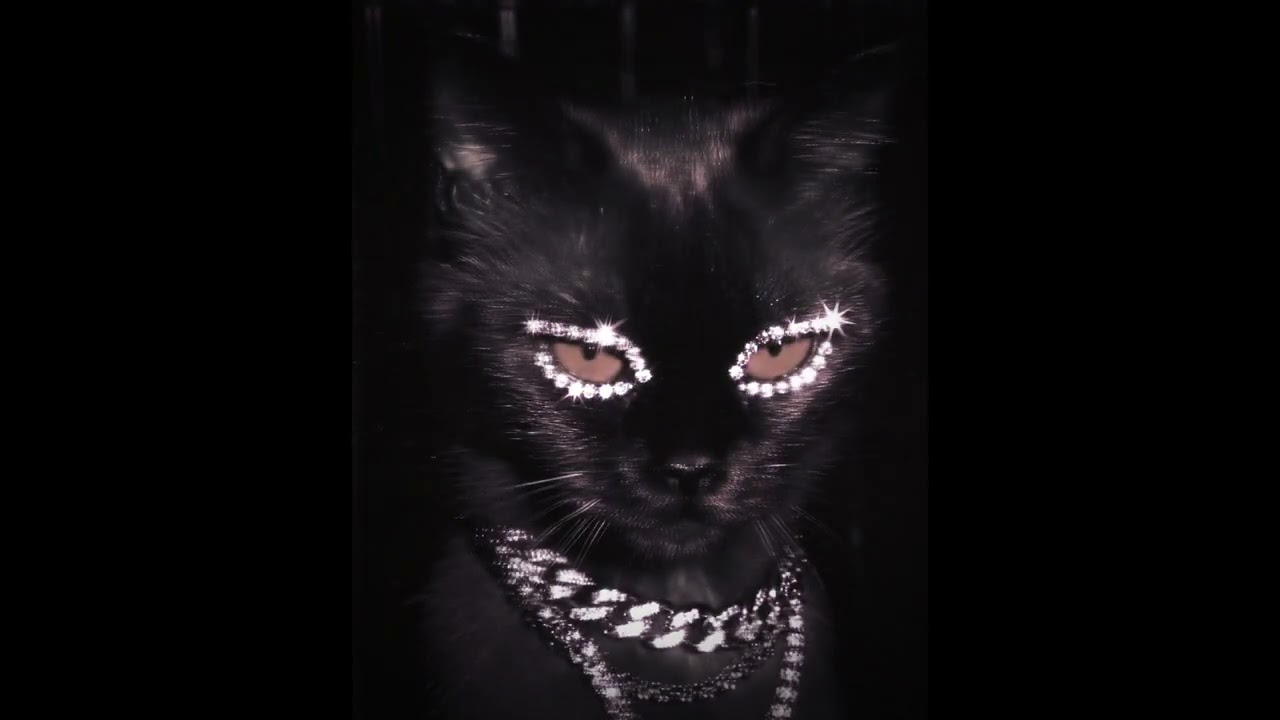 ☆ℍ𝕠𝕥 𝕡𝕙𝕠𝕟𝕜/𝕗𝕦𝕟𝕜 𝕖𝕕𝕚𝕥 𝕗𝕠𝕣 𝕪𝕠𝕦!⁠☆