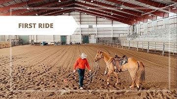 First Ride on a Colt