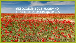 Які особливості наземно повітряного середовища