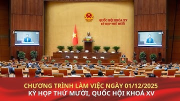 Kỳ họp thứ Mười, Quốc hội Khóa XV: Chương trình làm việc ngày 01/12