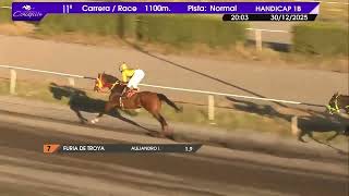 Vidéo de la course PMU DEJALA EN PAZ