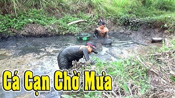 Không Ngờ Cái Vũng Nhỏ Vậy Lại Bắt Cá được Nhiều đến Vậy/catch fish/NGÃ NĂM TV