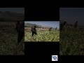 Inside The Taliban S War On Drugs Opium Poppy Crops Slashed Drugsmuggling DrugAddiction 