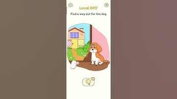 2417 level dop2 #dop #gameplay #viralshorts #youtubeshorts #dop2 #game #trending