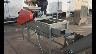 Single stage Almond Shelling Machine