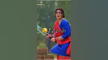 pashto song