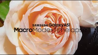 GalaxyA51 Macro+Timelapse