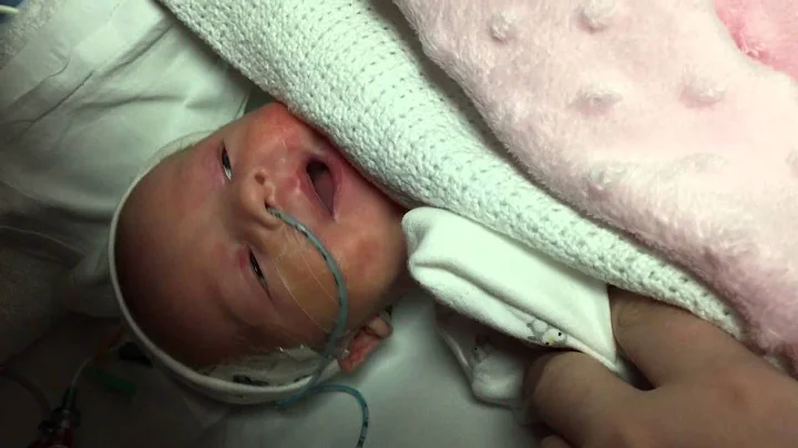 Sydney Rae Sophia Groves my 2 week journey