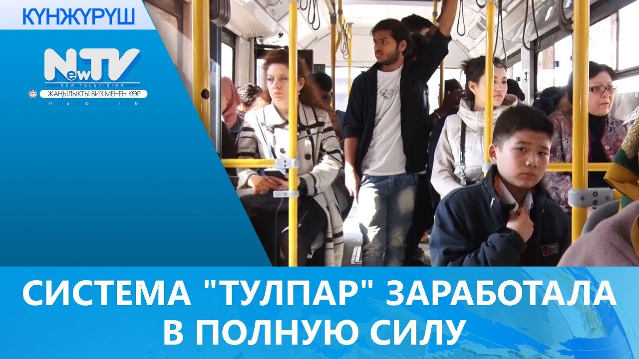 Тулпар авто семей
