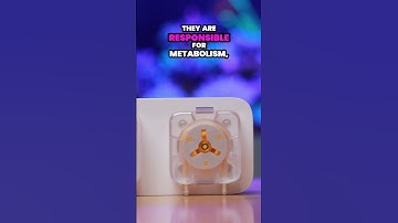 Is it worth dosing trace minerals in a saltwater aquarium?