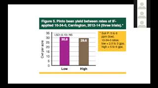 Soil Fertility for Dry Edible Bean - Dave Franzen April 2020
