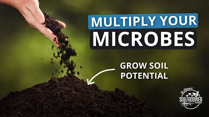 3-Steps to Rapid Soil Regeneration Part 2: Multipl...