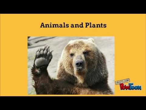 The Interior Plains Youtube