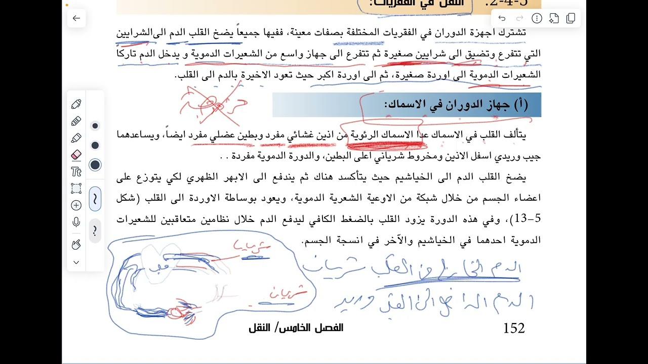 الفصل الخامس النقل المحاضرة السابعة 