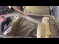 Inside Look: Cider Making at Bashista Orchards in Southampton