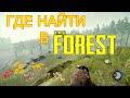 ГДЕ НАЙТИ В THE FOREST | ГРИБЫ