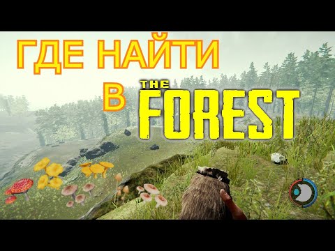 Видео: ГДЕ НАЙТИ В THE FOREST | ГРИБЫ