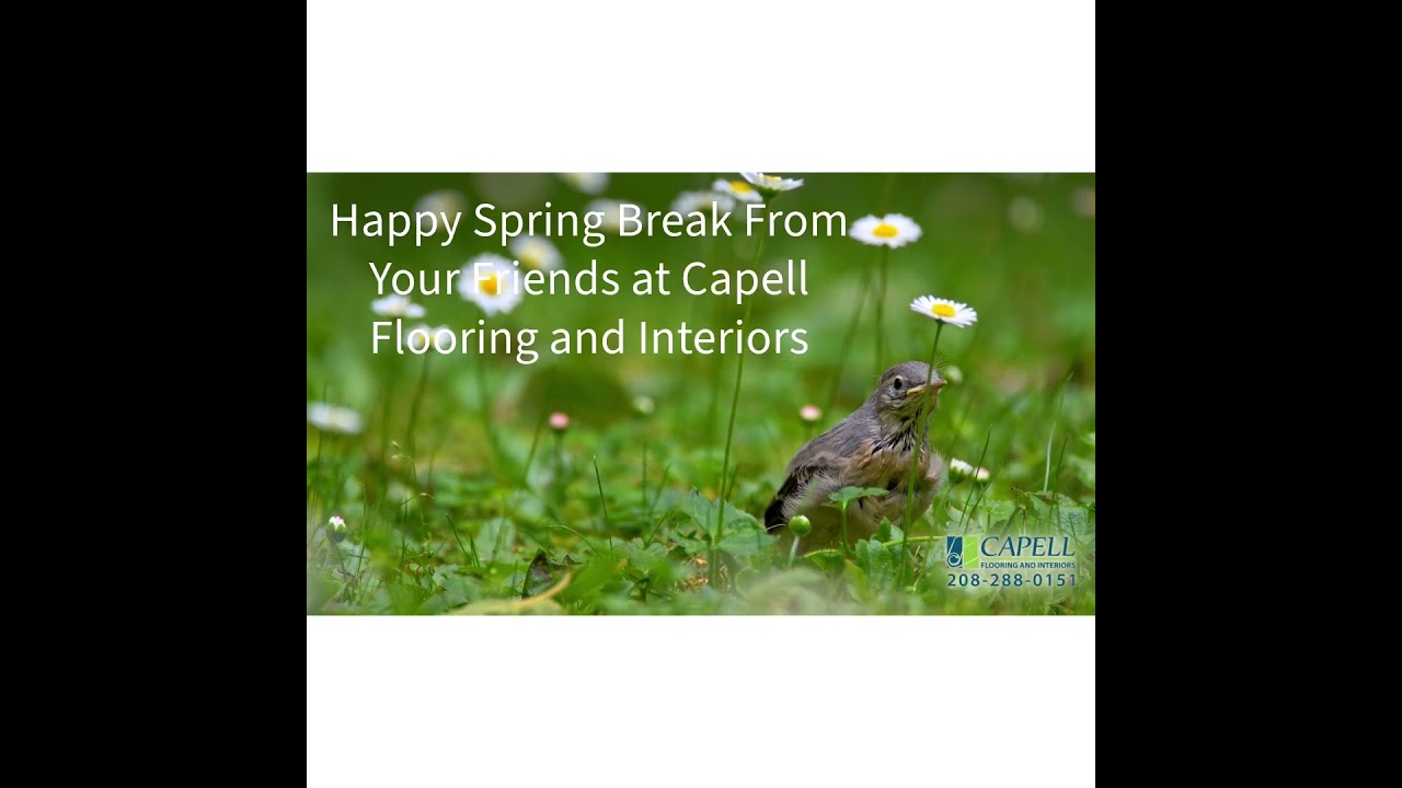 Capell Flooring and Interiors - Happy Spring Break Video 