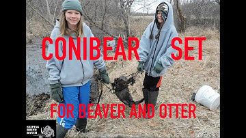 Trapping Ep 2:   A 330 Conibear Set for Beavers and Otters