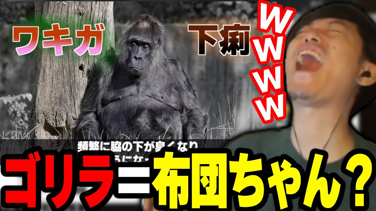 Futon-chan has been found to have several characteristics (sexual