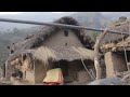 Traditional cottage || Digging land for collecting yam