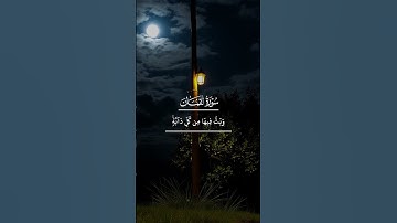 تلاوة ما تيسر من سورة لقمان