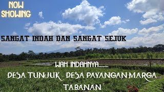 Pesona Desa Tunjuk - Desa Payangan Marga Tabanan