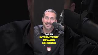Unleashing the Thrill The Power of Intermittent Rewards for Success